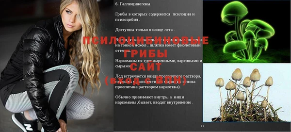 метамфетамин Алексеевка